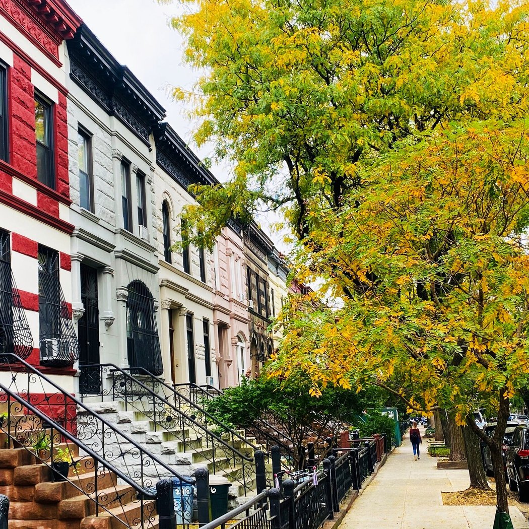 Prospect Heights Historic District 3