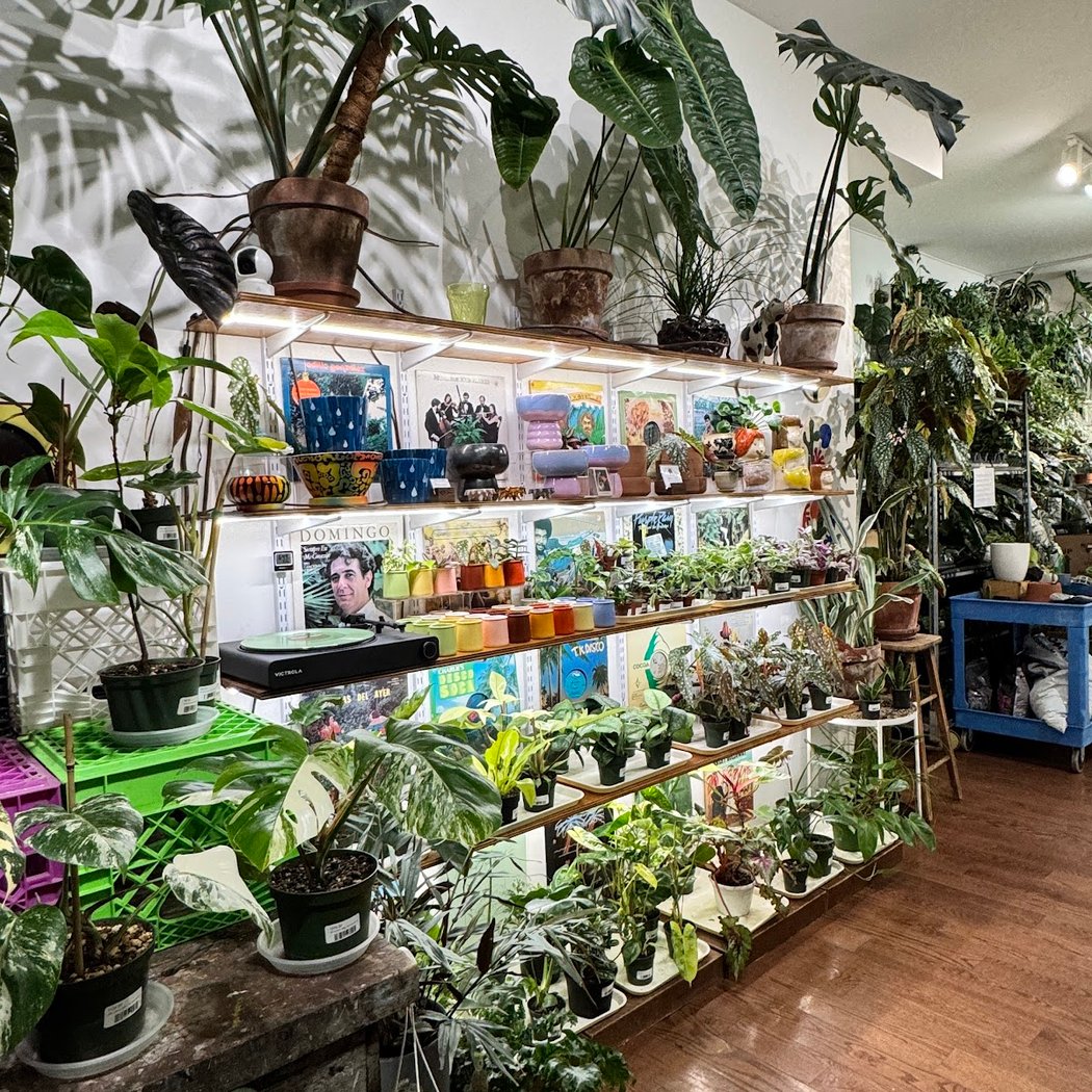 Brooklyn Horticulture 3