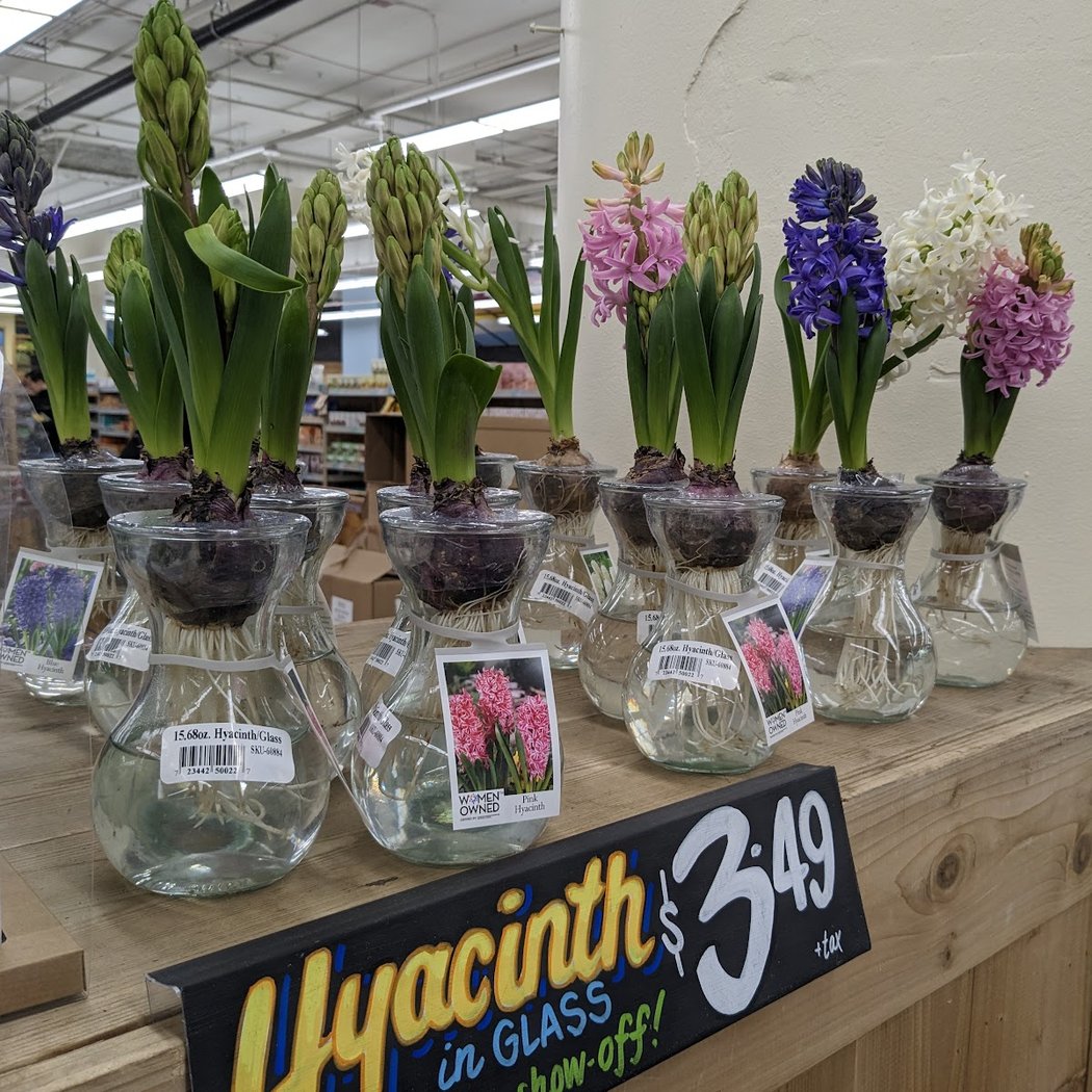 Trader Joe's 1