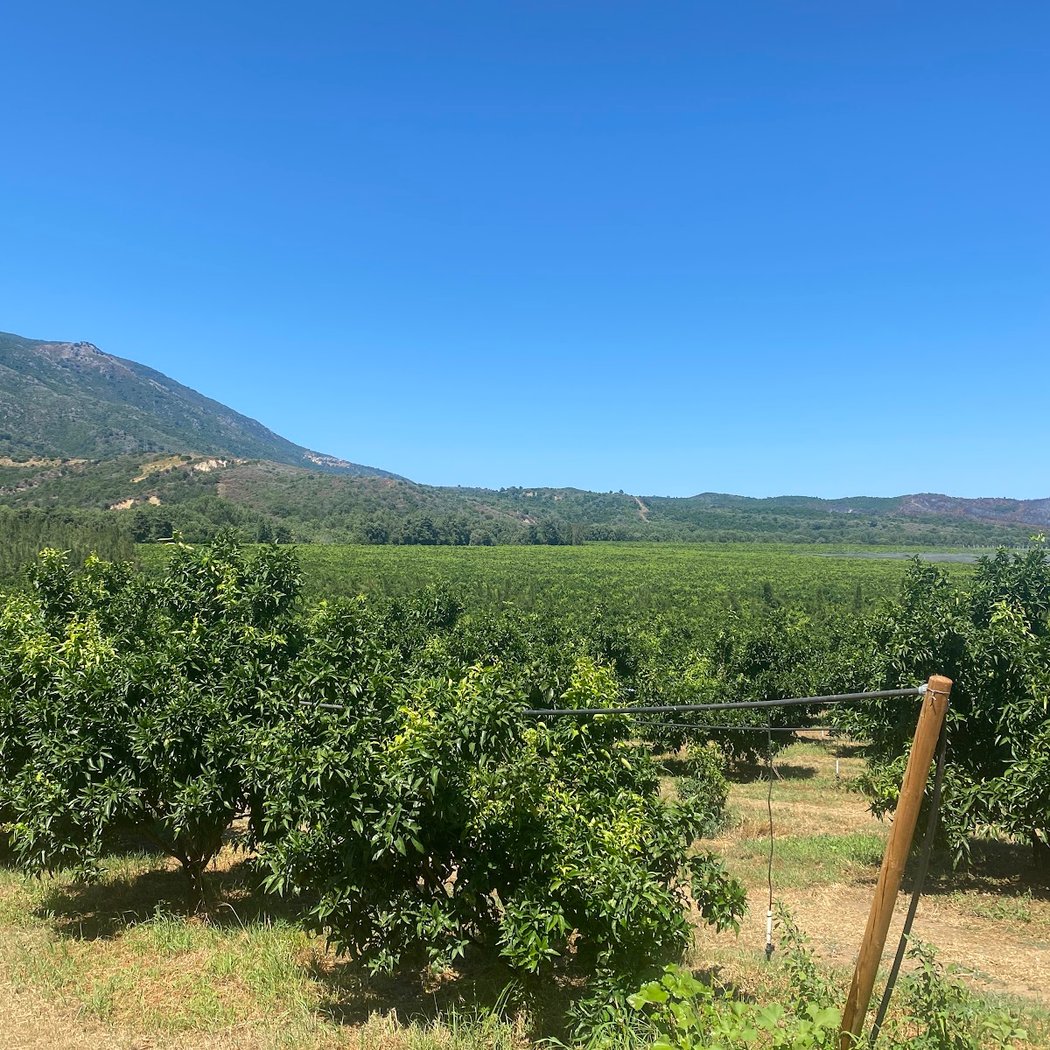 Les Domaines de la Taste 3