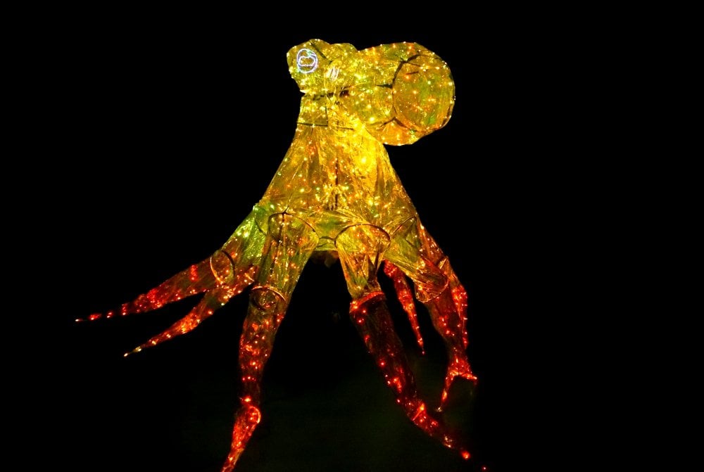 Giant Light Puppet Show 2