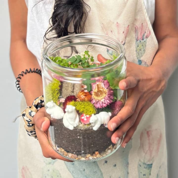 Closed Ecosystem Terrarium Class 2
