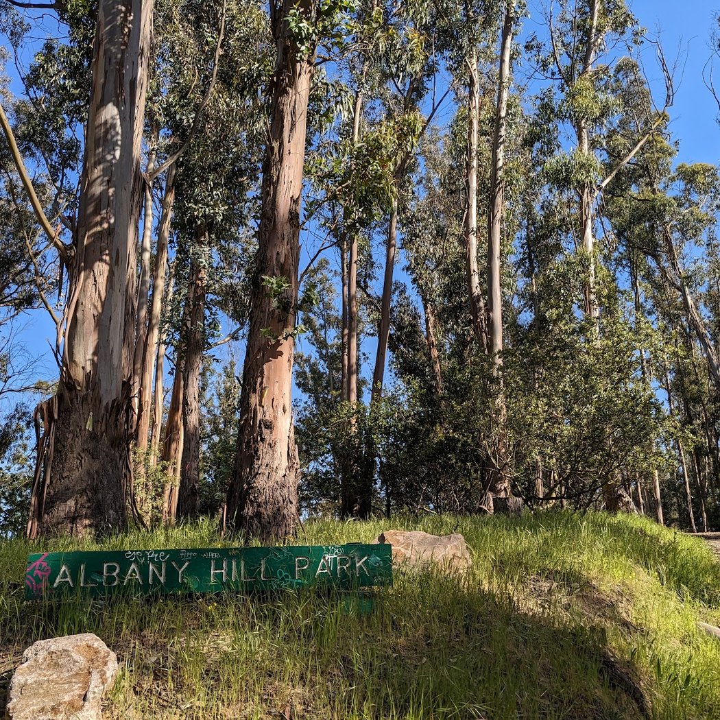 Albany Hill Park 2