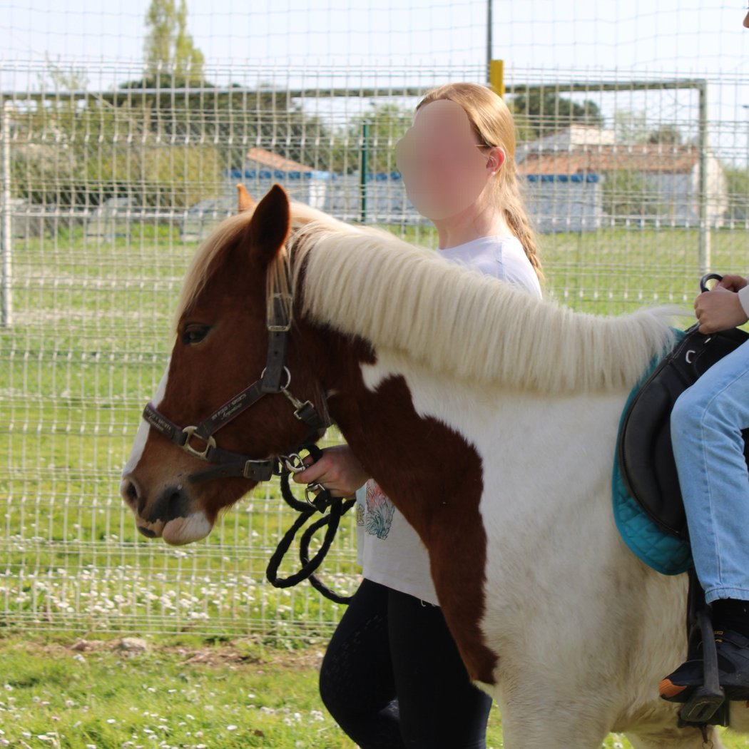 Animation Poney