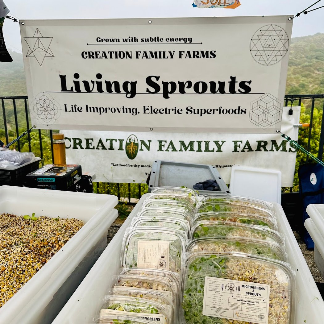 Carlos Niño & Friends at Creation Family Farms 3