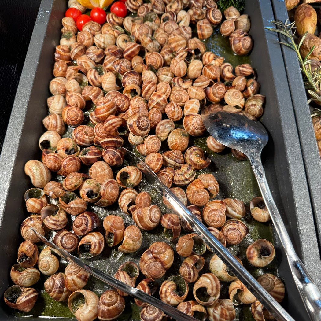 Jungle Grill 2
