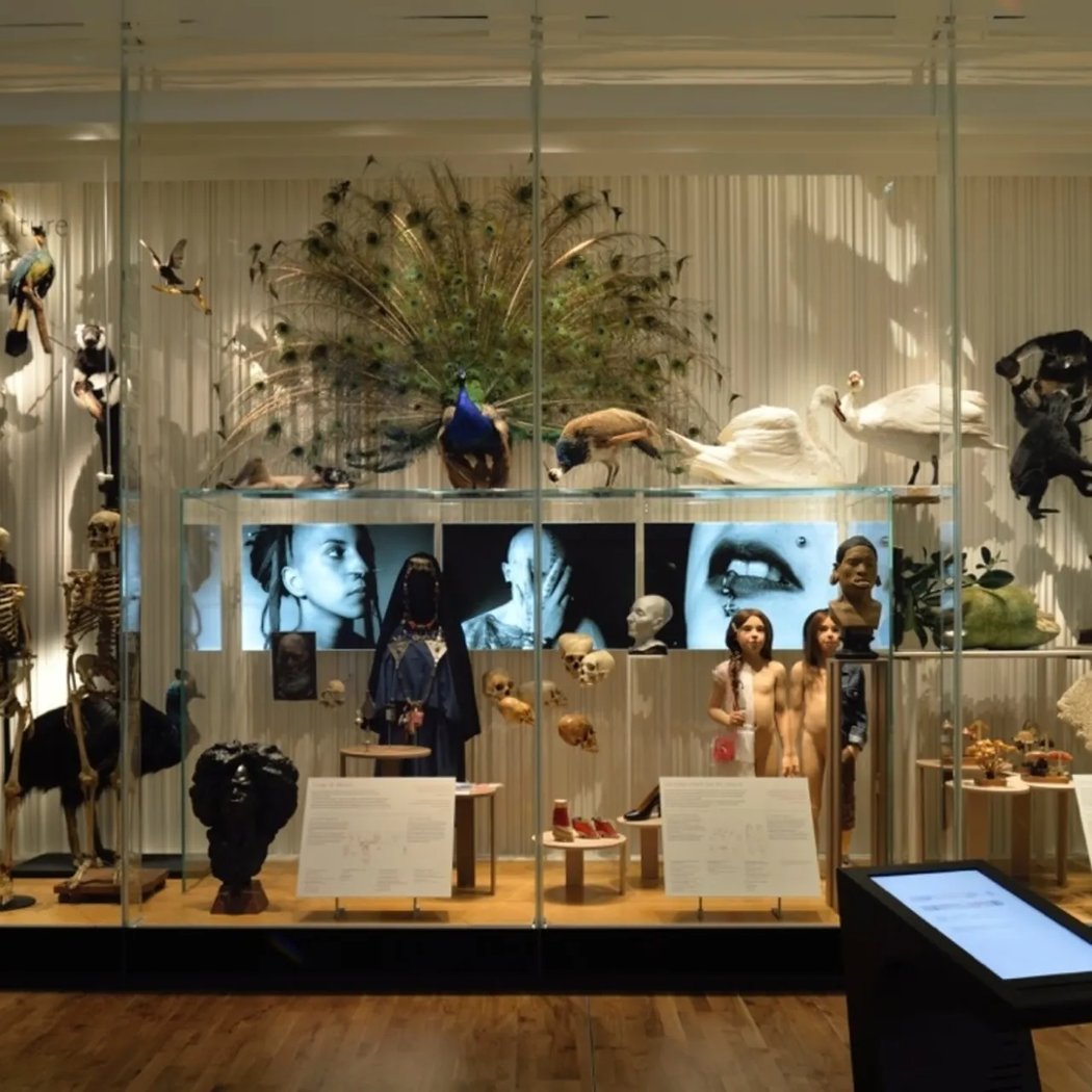 Visite guidée « Aux origines du genre » 1