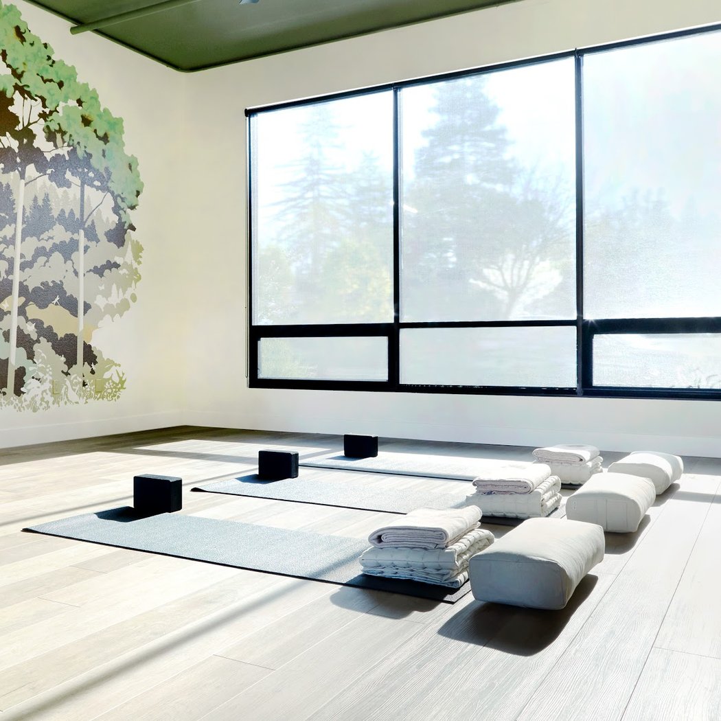 Intro to Yoga Workshop 1