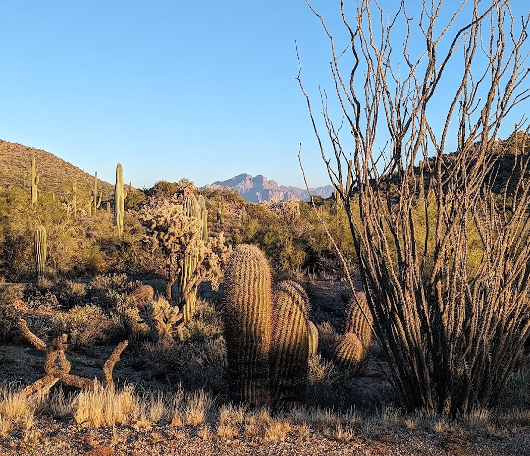 Hiking at Usery Mountain 1