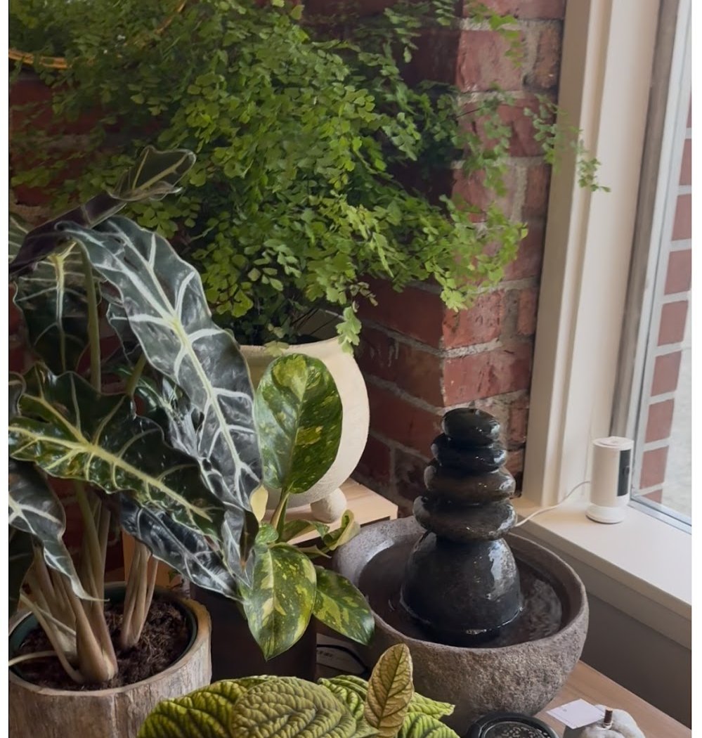 Moss+Marigold 3