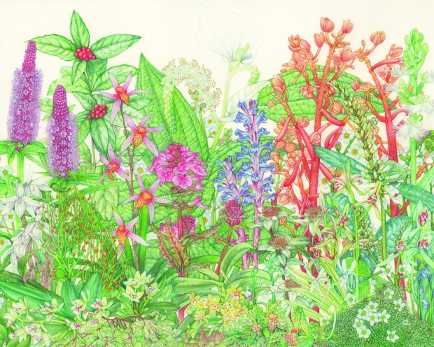 28th annual botanical art exhibit 1