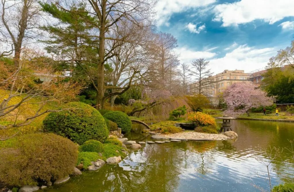 Cherry Blossom Festival (Sakura Matsuri) 3