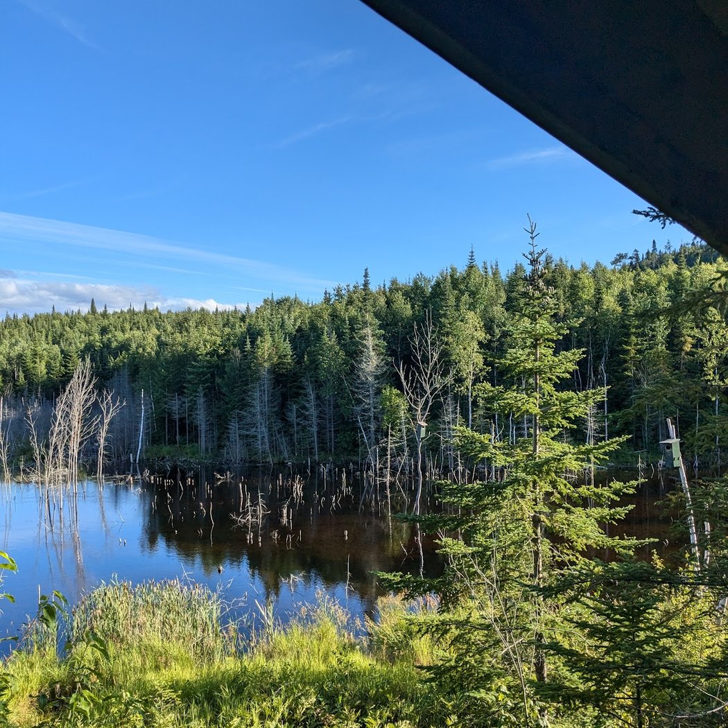 Aventure Lac Saint-Jean - Pêche, Croisière et Ours noir 3