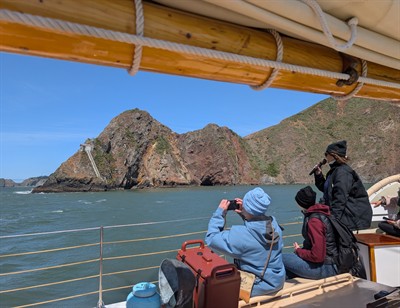 Memorial Day Wildlife Sail under the Golden Gate Bridge 3