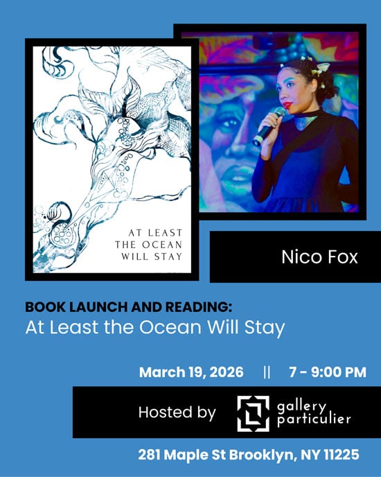 Book Launch Party for Author-Musician Nico Fox 1