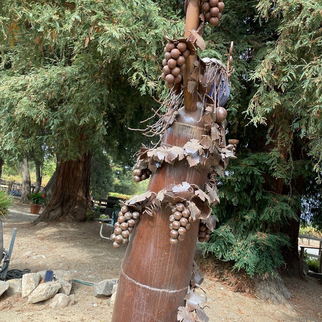 Mangels Vineyards 3