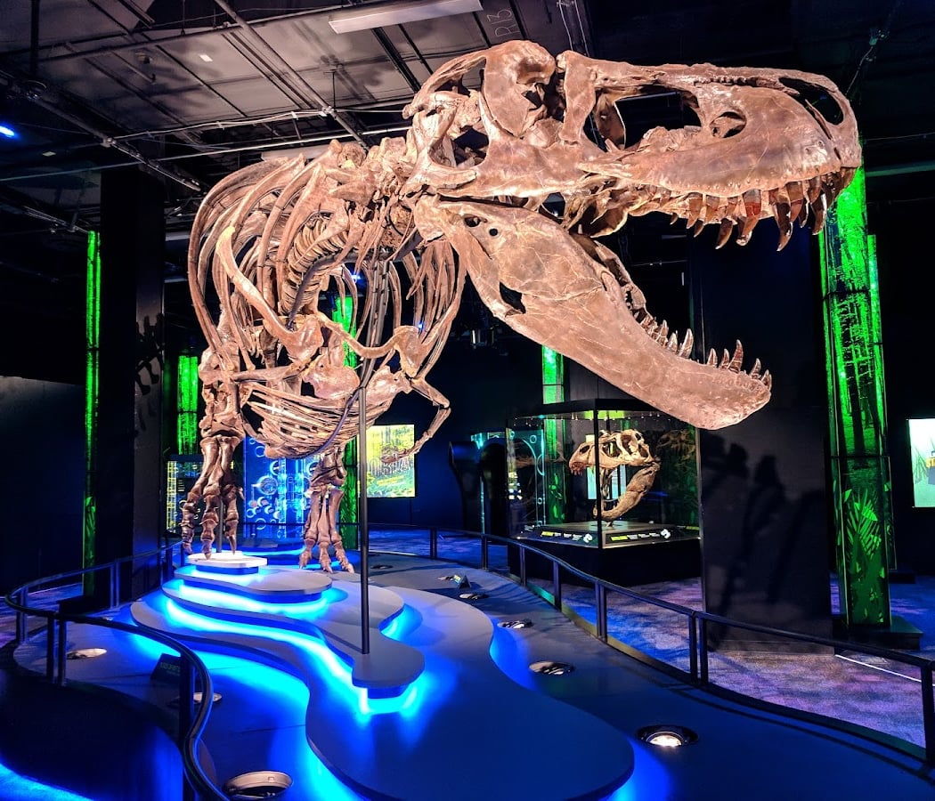 Arizona Science Center 4