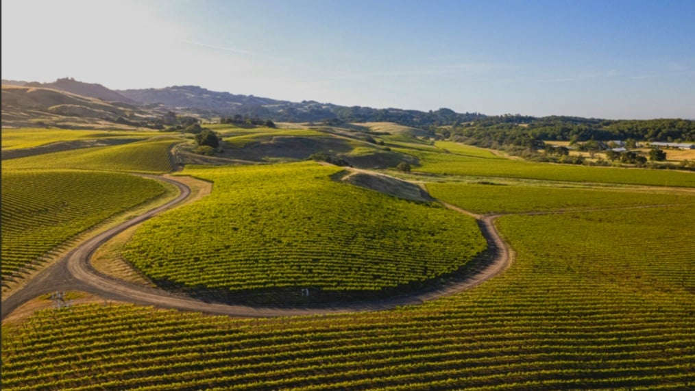 Gap's Crown Vineyard 1