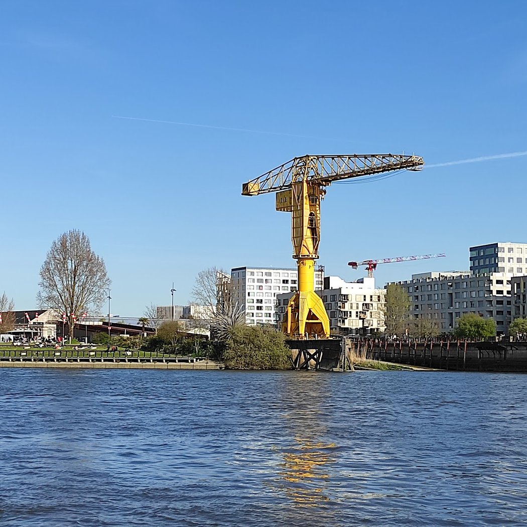 Grue Titan Jaune 5