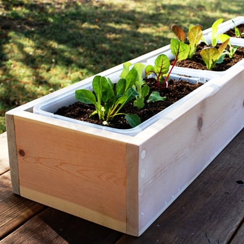 Let’s Get Growing – Dig, Plant, Explore 1