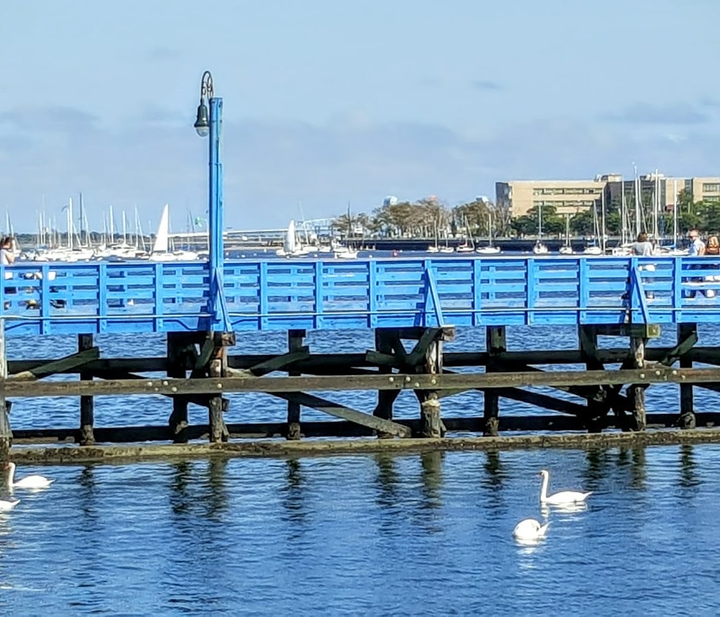 Ocean Ave Pedestrian Bridge 3