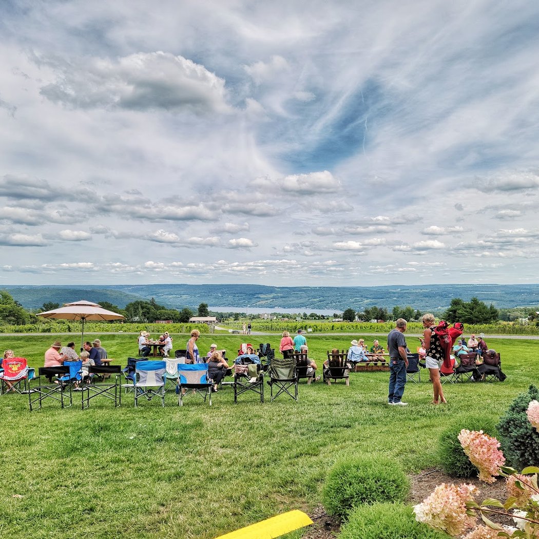Point of the Bluff Vineyards 2