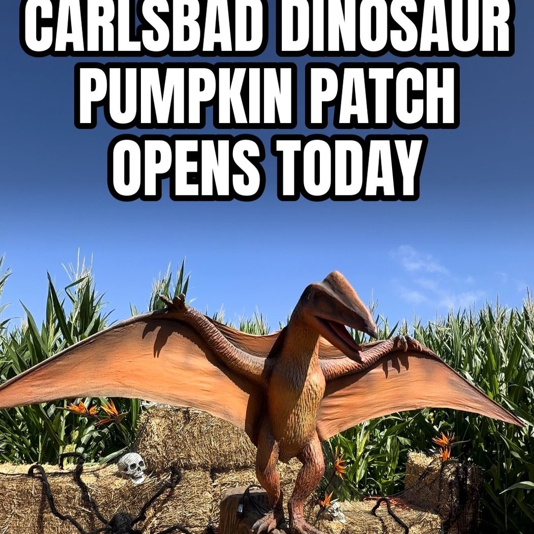 Dinosaurs at Carlsbad Pumpkin Patch