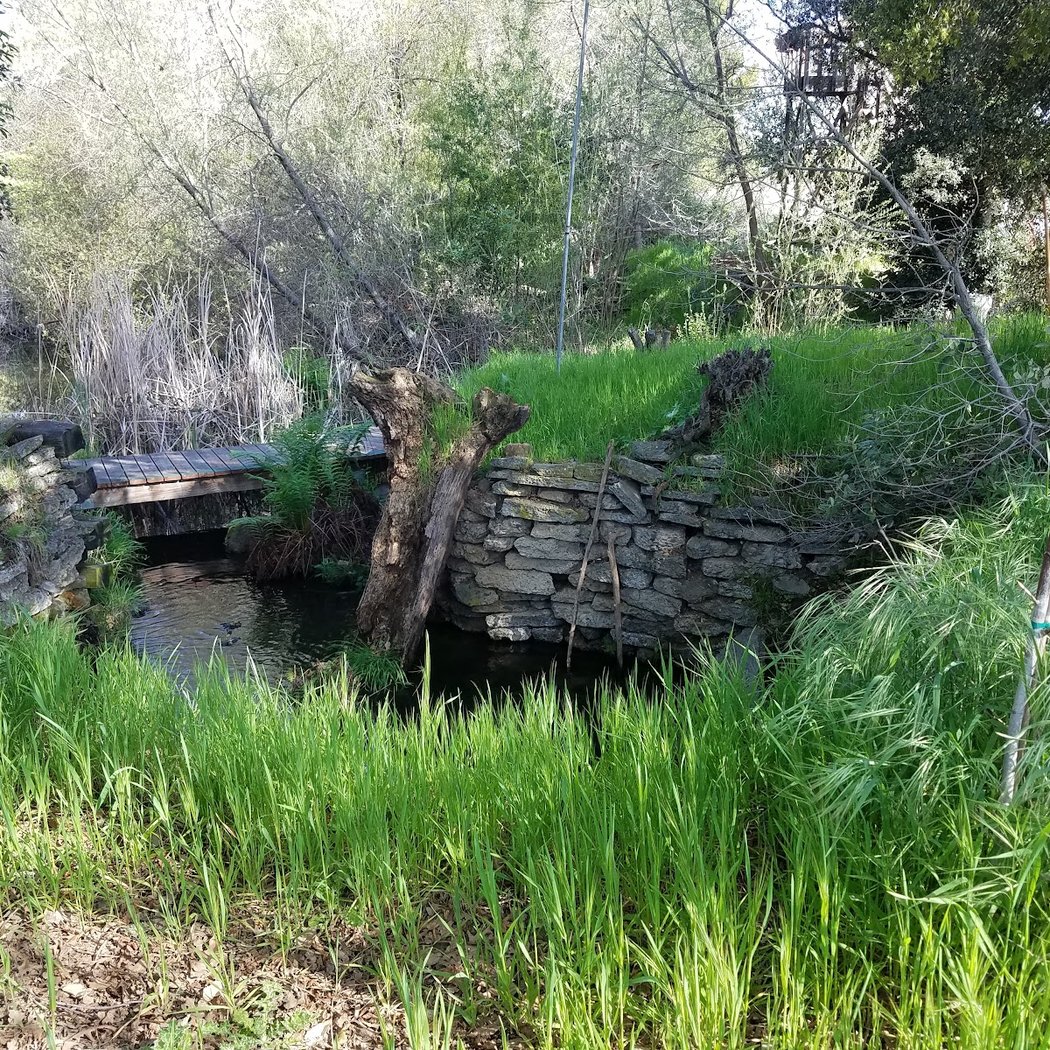 Bryan Osborne Nature Center 2