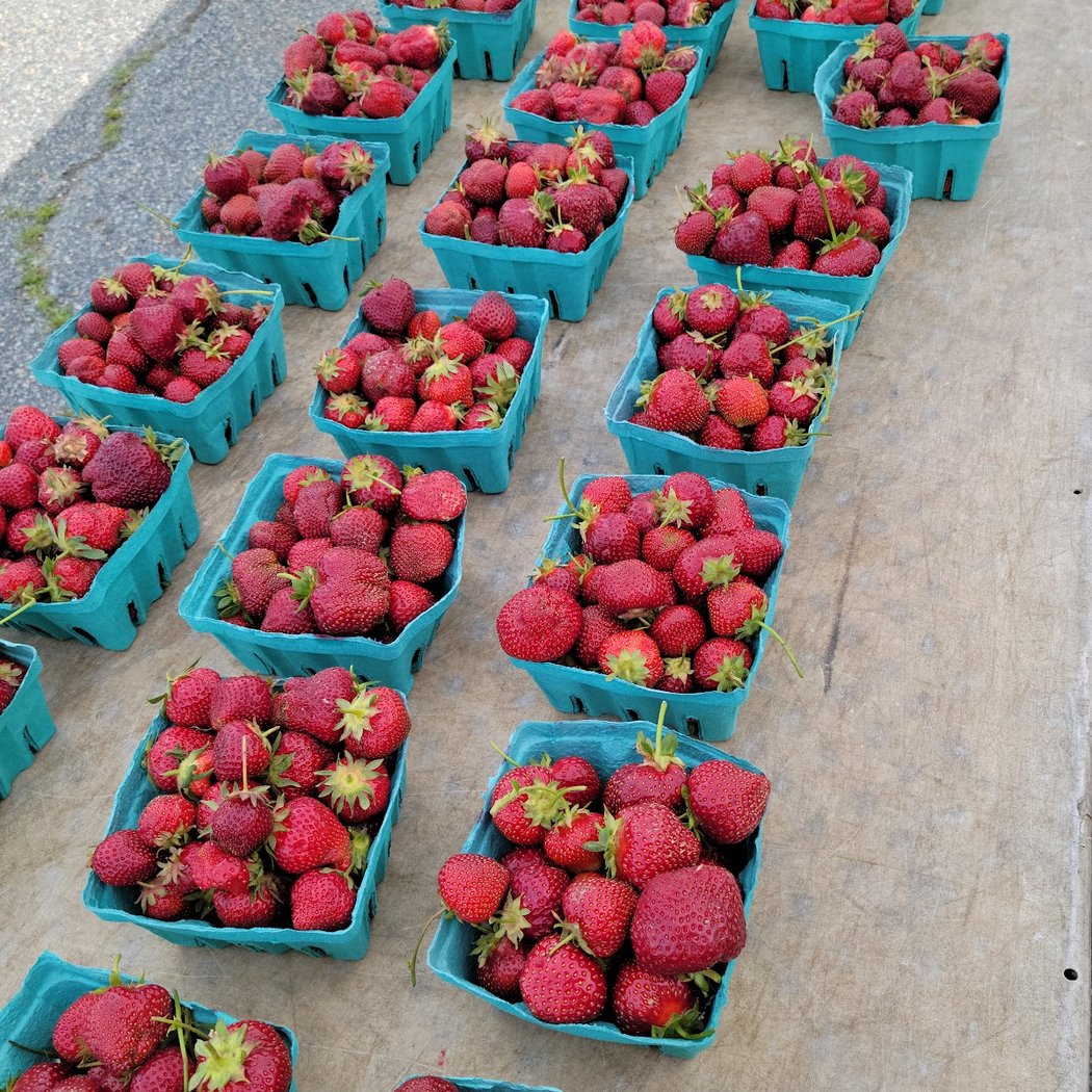 Seaford Farmers Market 1