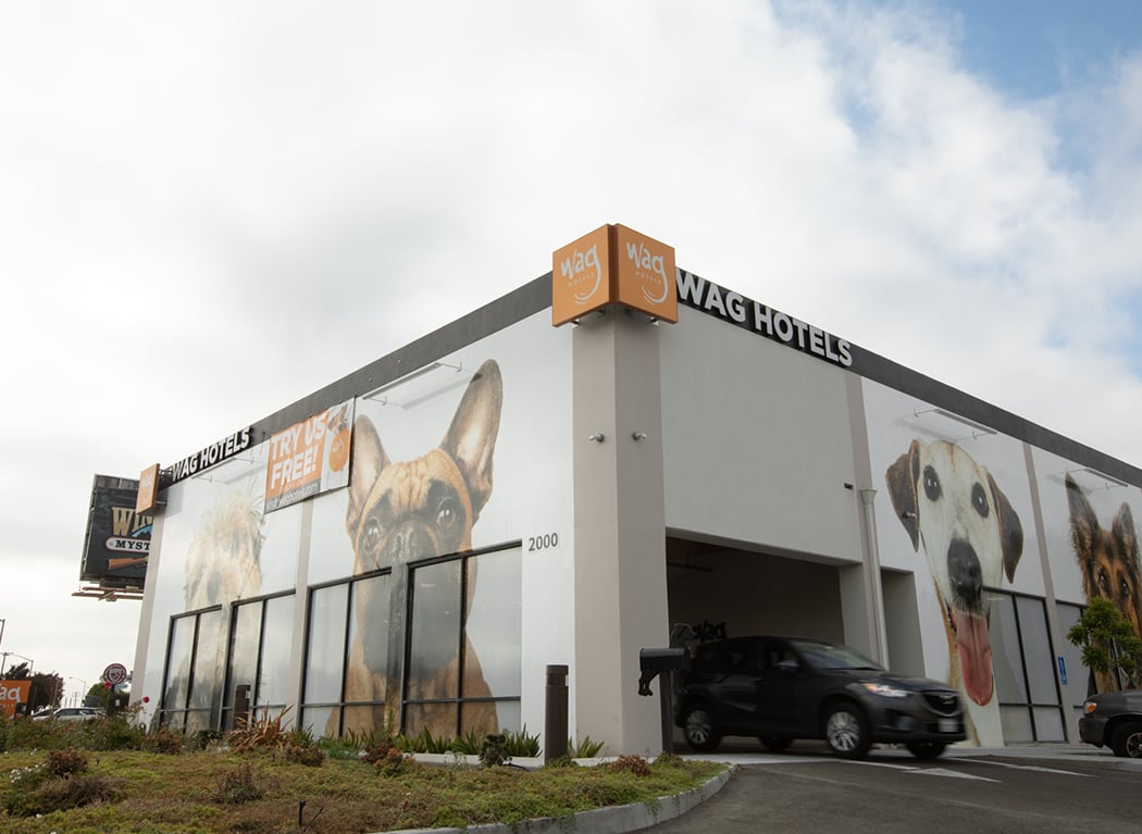 Wag Hotels - Santa Clara 2