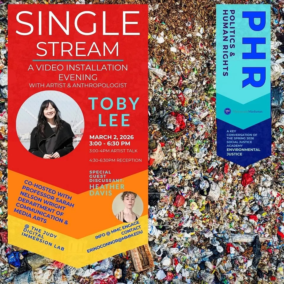 Single Stream: A Video Installation & Reception 1
