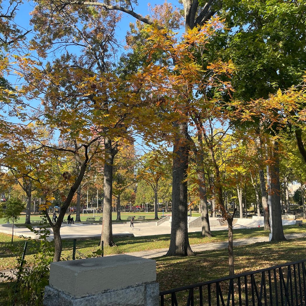 Williamsbridge Oval Skate Park 2