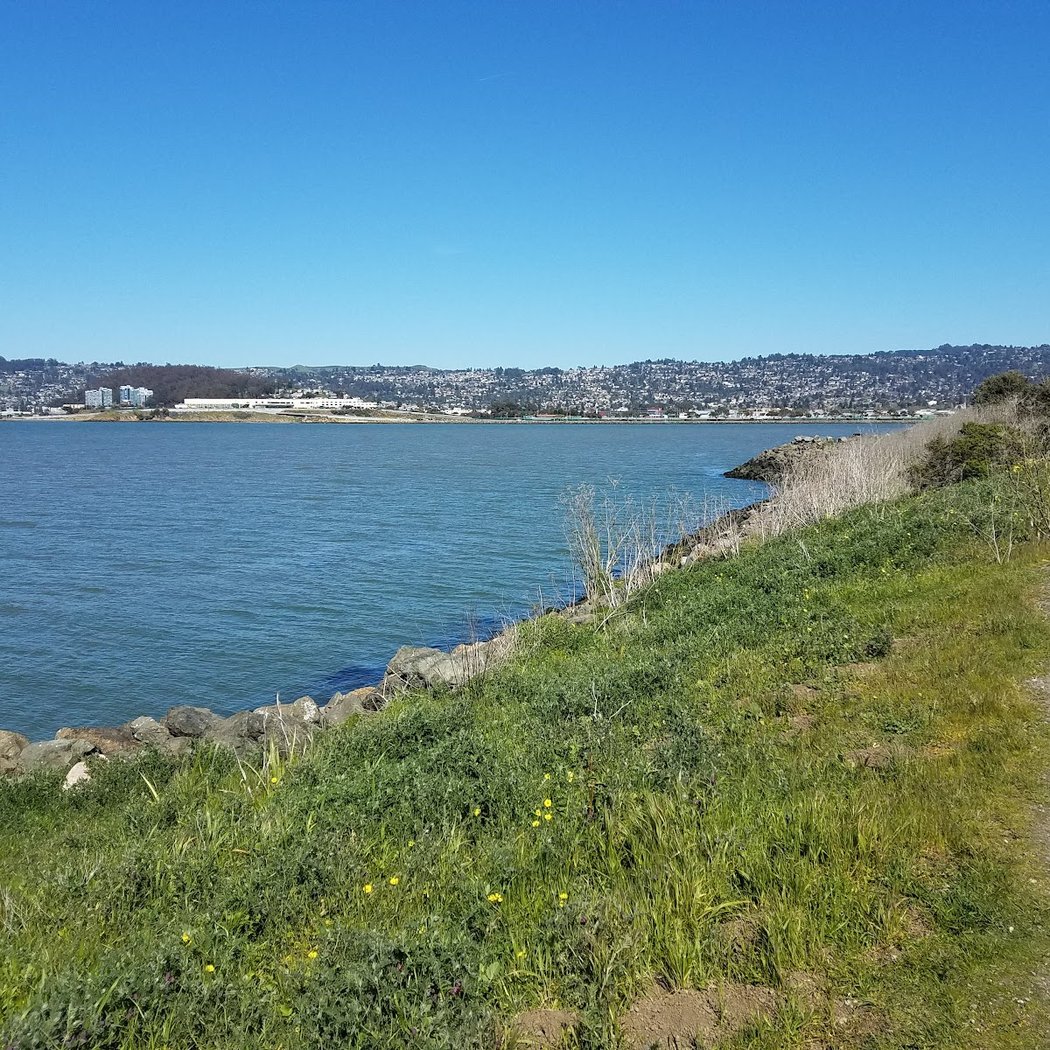 Cesar Chavez Park 3