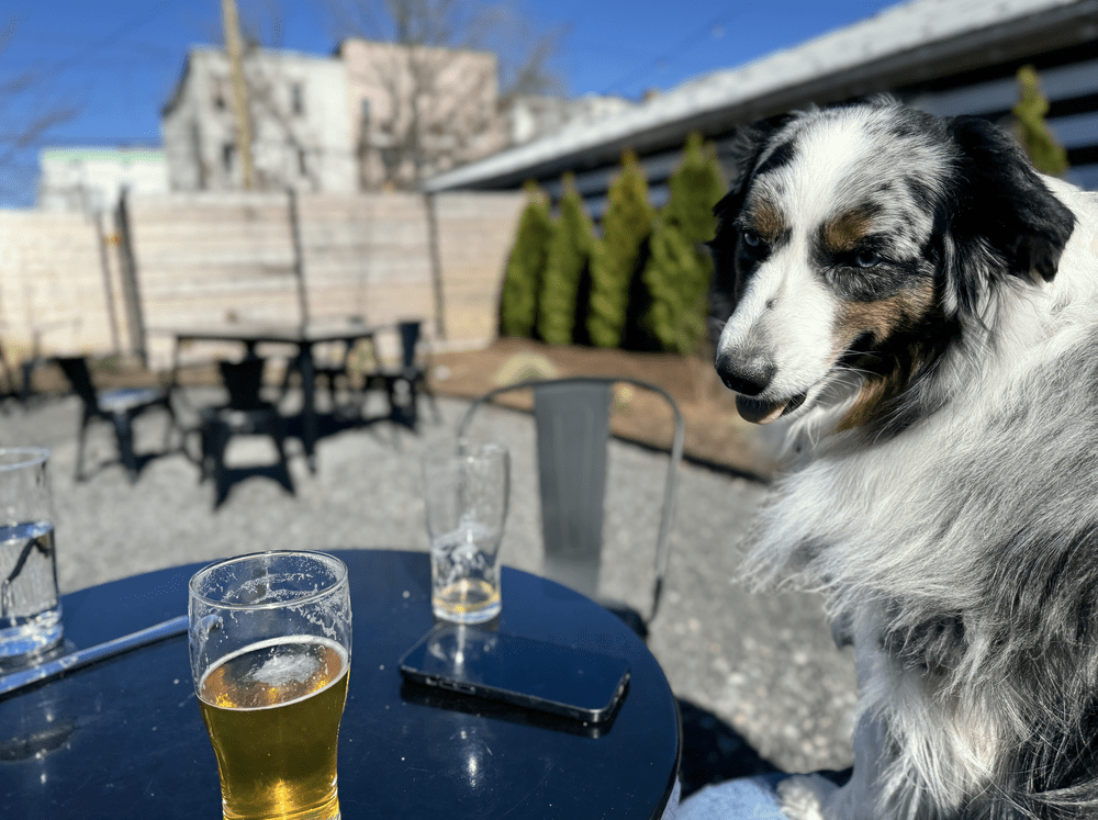 Union Street Brewing Co. 2