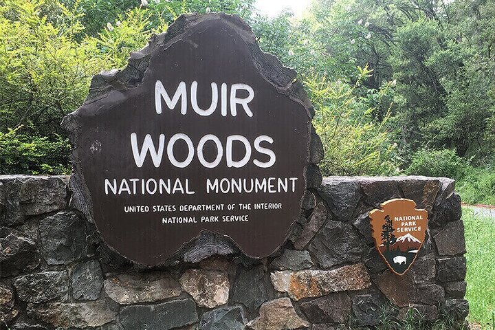 Muir Woods & Sausalito Shuttle: Small Group Experience  2