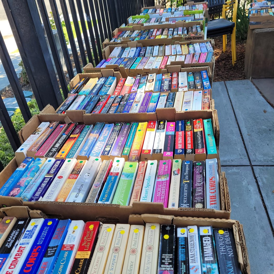 American Canyon Library Used Book Sale 1