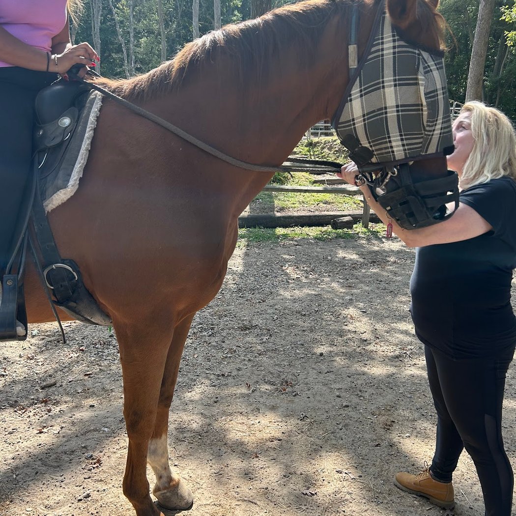 Bethpage Equestrian Center 3