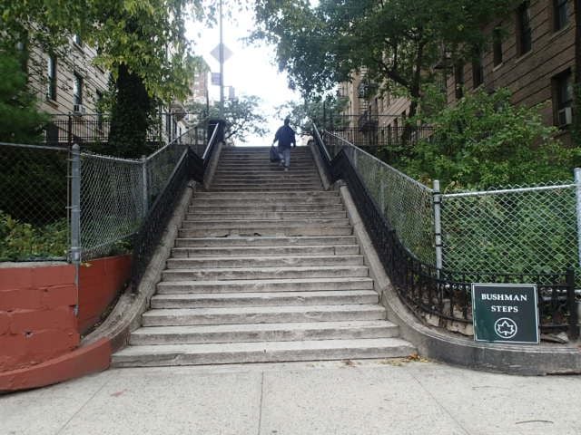 Bushman Steps 2