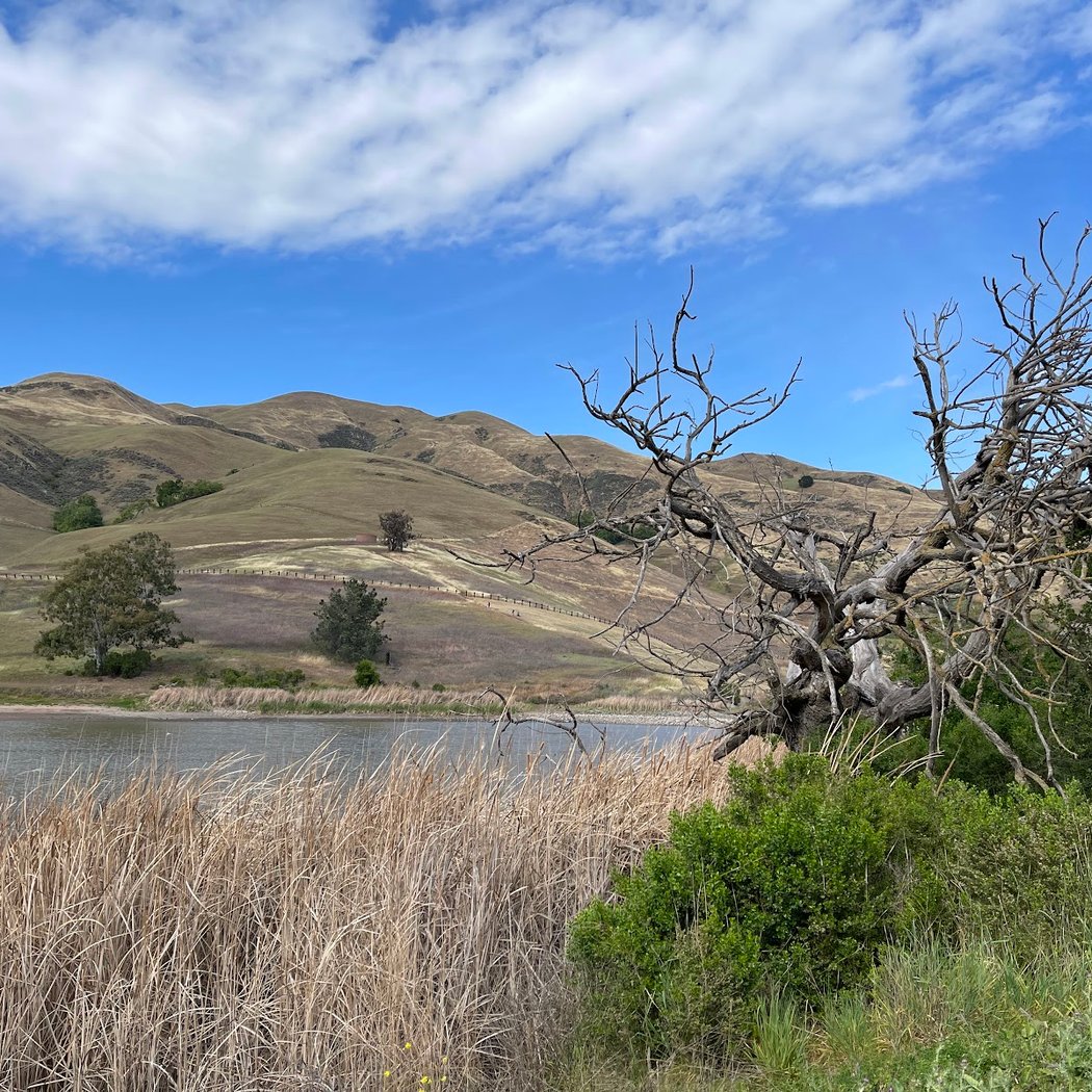 Sandy Wool Lake - Gazebo 3