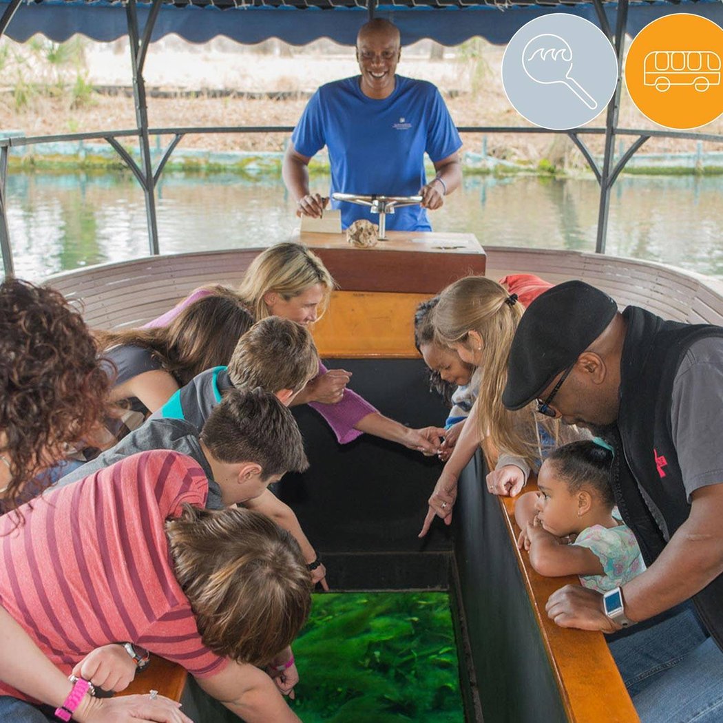 The Meadows Center Glass Bottom Boat Tours 1