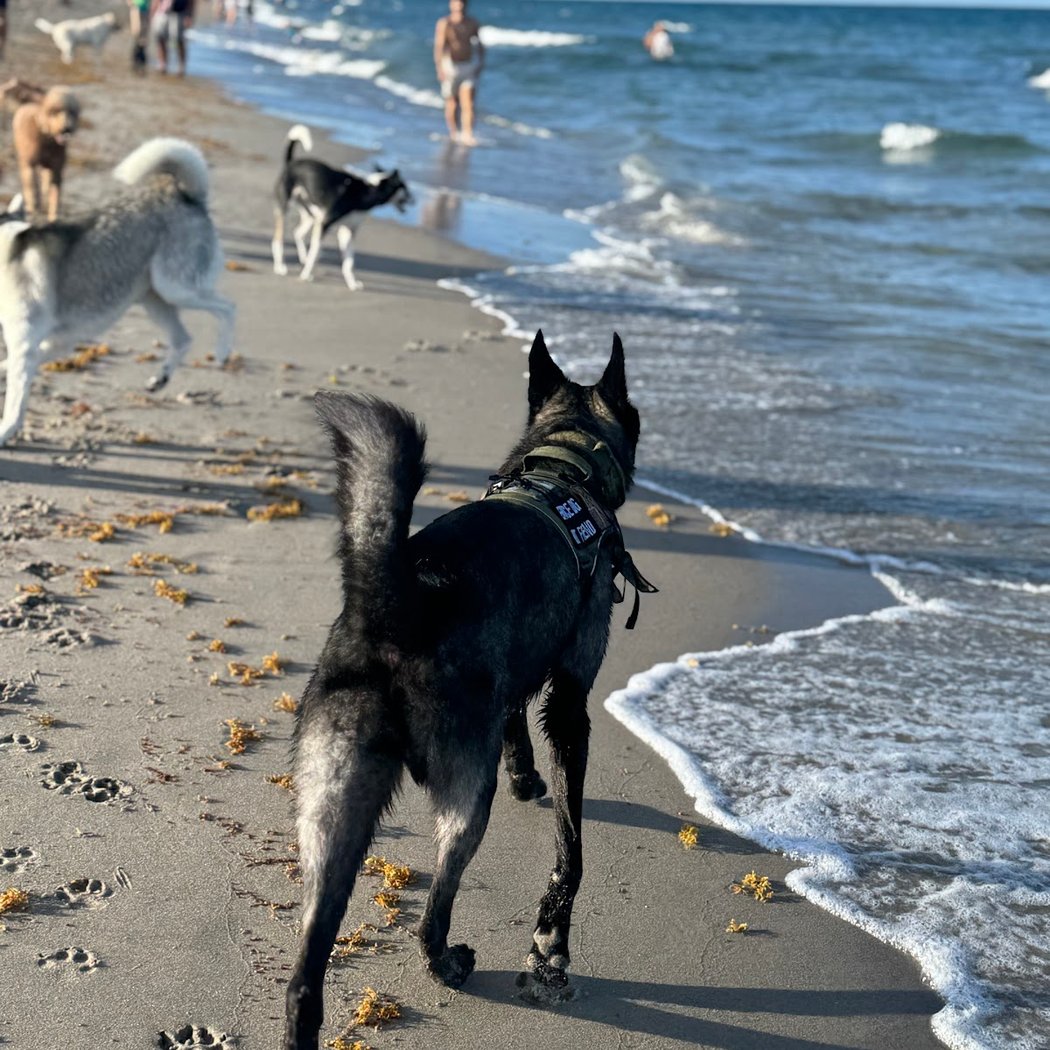 Bark Beach at Spanish River Park 2