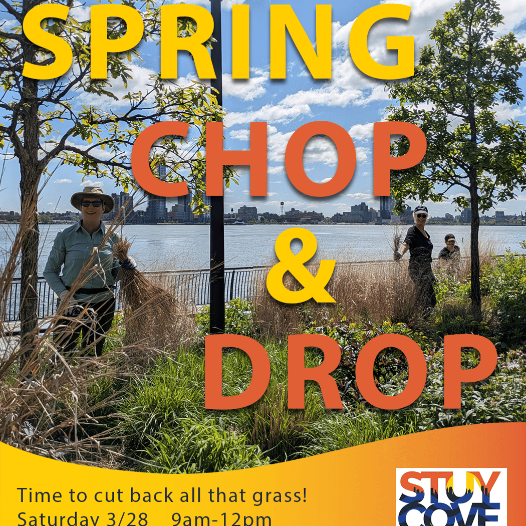 Spring Chop & Drop 1