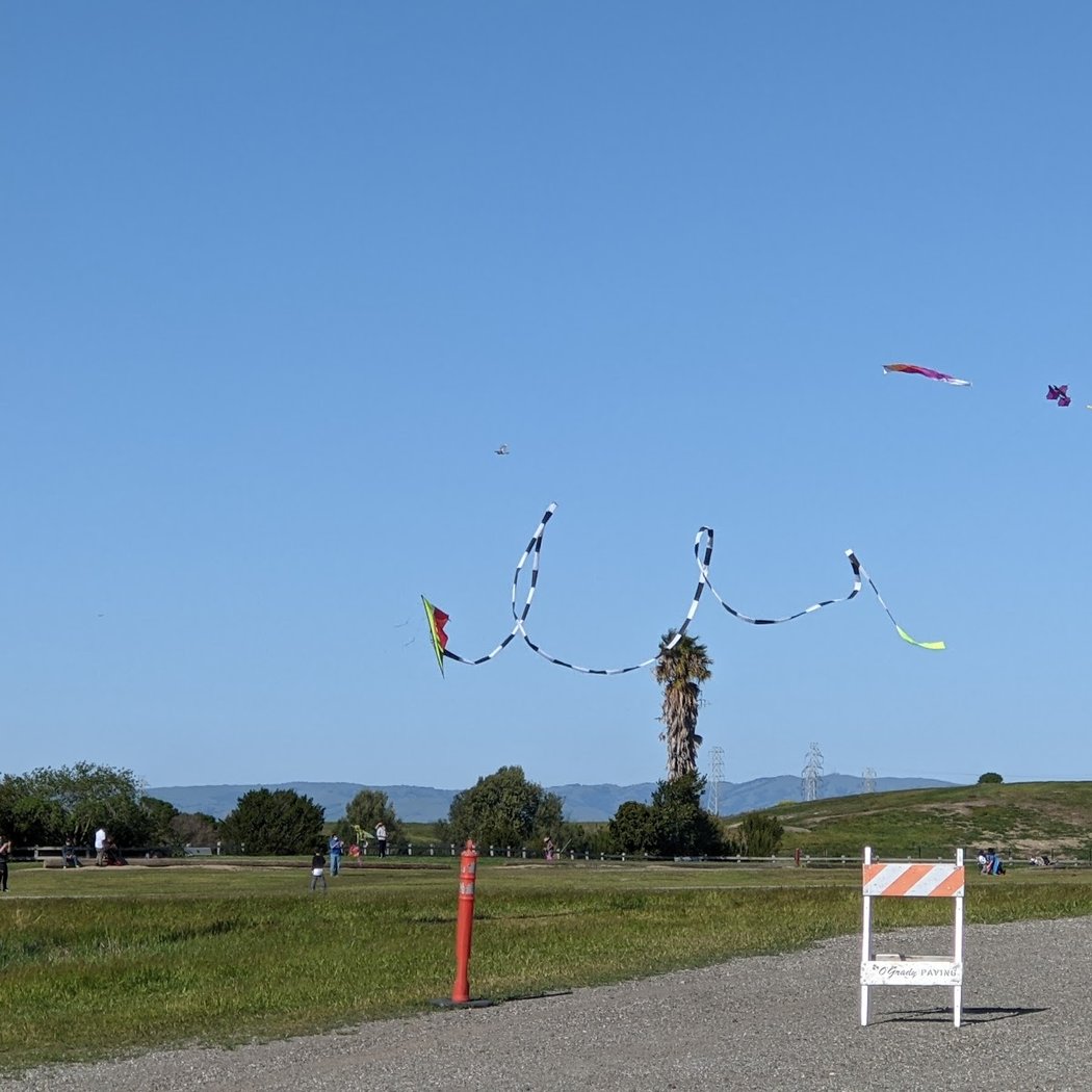 Kite Flying Area 1
