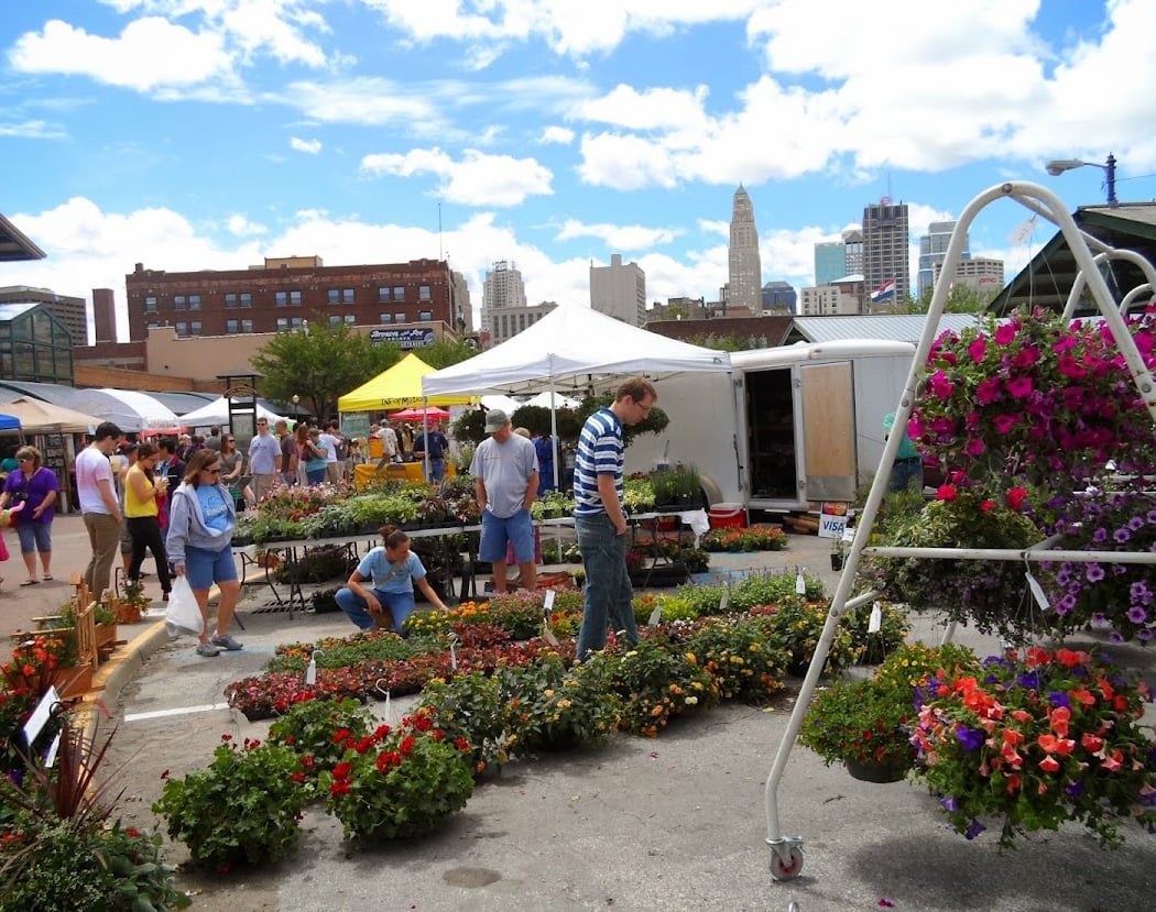City Market 3