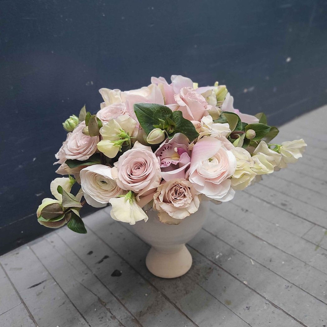 The Mini Rose Co 3