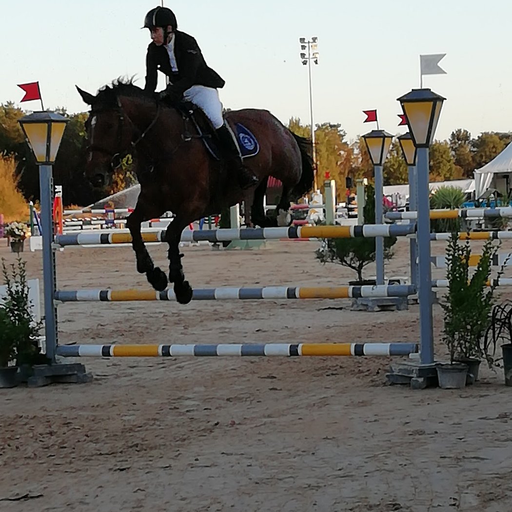 Parc Du Cheval Rhône-Alpes 1