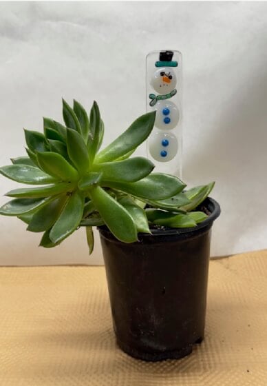 Seasonal Glass Plant Stake Workshop 2