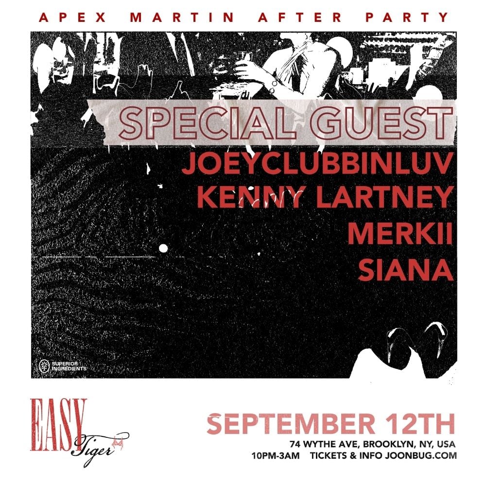 Apex Martin After Party X Brooklyn House & Techno Party 1