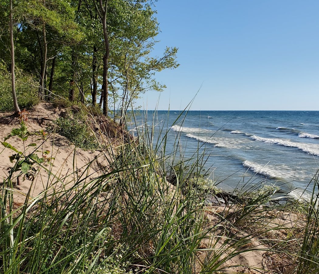 Saugatuck Dunes State Park 3