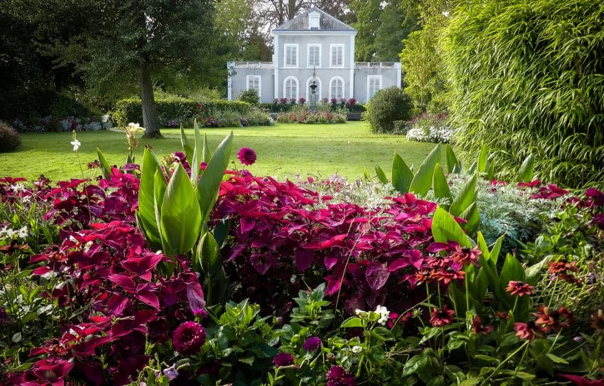 Garnier Garden 1